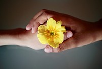 Soin énergétique, guidance, magnétisme, spiritualité
